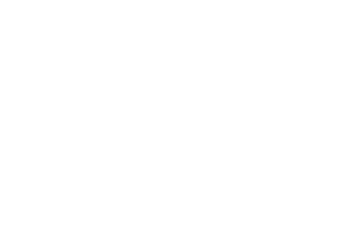 Semi Finalist - Dumbo Film Festival - 2025_wh
