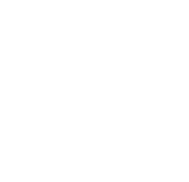 TNFF_NYC_2026_OFFICIAL_SELECTION_WHITE
